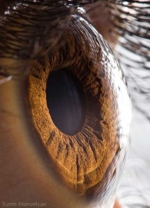 تصاویر شگفت انگیز و دیدنی از چشم انسان عکس چشم انسان, تصاویر زیبای چشم