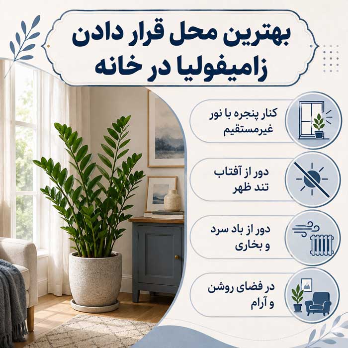آشنایی با گیاه زینتی زامیفولیا؛ نور، آبیاری و خاک مناسب؛ تکثیر و جلوگیری از زرد شدن برگها بهترین محل قرار دادن زامیفولیا در خانه