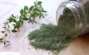 آشنایی با 7 خاصیت گیاه آویشن آویشن