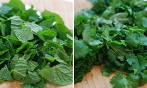 نعناع، گشنیز و بادرنجبویه گیاهان ضد نفخ گیاه دارویی ضد نفخ