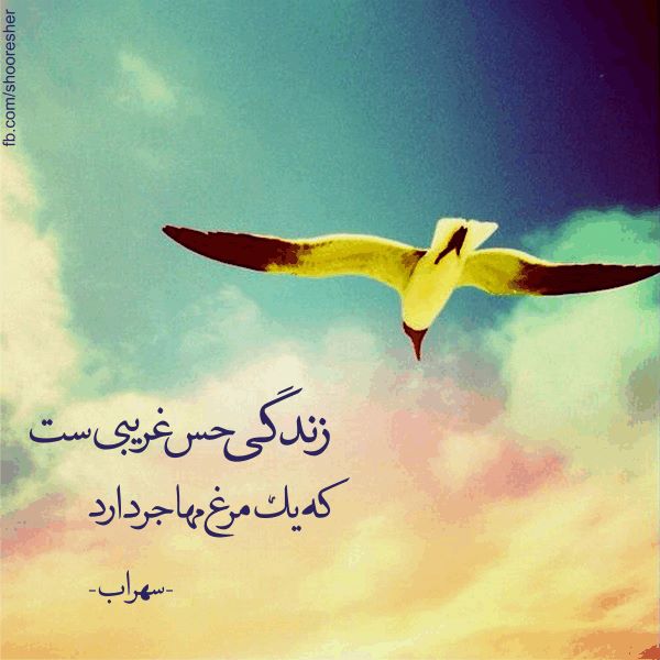 جملات غمگین زندگی