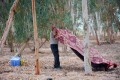 در مسافرت ها حتما آبلیموی تازه و ماست بخورید در مسافرت ها حتما آبلیموی تازه و ماست بخورید