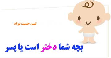 جنسیت نوزاد را با زمان تخمک گذاری انتخاب کنید