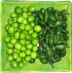 آیا چغاله بادام و گوجه سبز ضرر دارد؟ آیا چغاله بادام و گوجه سبز ضرر دارد؟