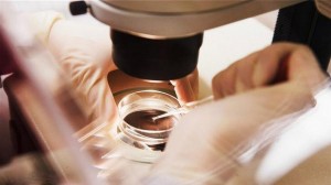 انجام IVF آی وی اف روشی برای جلوگیری از بارداری انجام IVF آی وی اف روشی برای جلوگیری از بارداری