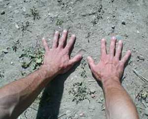 آموزش کامل تصویری تیمم کردن