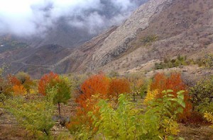 دیدنی های و جاذبه های گردشگری در اطراف تهران