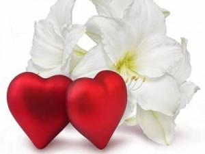 قبل از اینکه عاشق شوید این مطالب را بدانید قبل از اینکه عاشق شوید این مطالب را بدانید