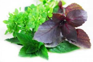 با طب سنتی مسمومیت غذایی را مداوا کنید با طب سنتی مسمومیت غذایی را مداوا کنید