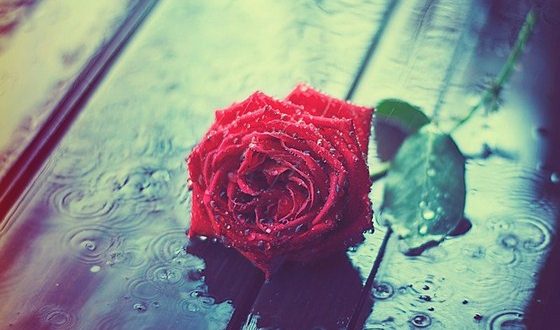 عکس پروفایل باران عکس پروفایل باران