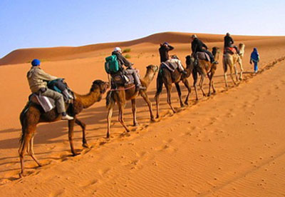 اگر قصد کویر گردی و رفتن به کویر را دارید بخوانید