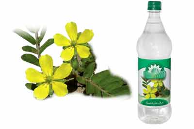 بهترین و بدترین عرقیات برای زنان باردار