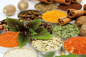 با طب سنتی انگل های بدن را نابود کنید با طب سنتی انگل های بدن را نابود کنید