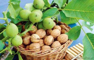 آموزش ساخت رنگ مو در خانه همراه با دستورالعمل آموزش ساخت رنگ مو در خانه همراه با دستورالعمل