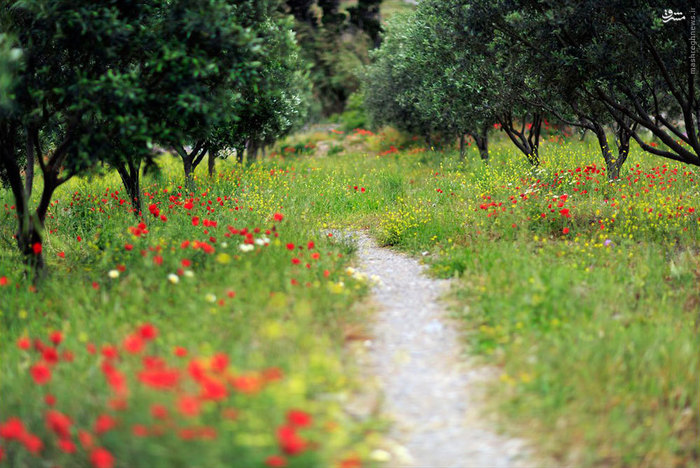 عکس های زیبا و دیدنی کشور یونان