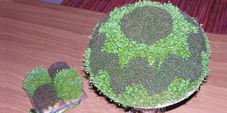 سبزه دو رنگ عید نوروز