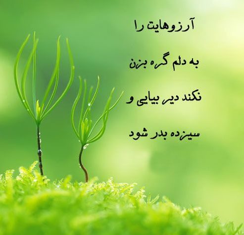 جملات مخصوص سیزده بدر