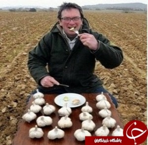 خوردن یک حبه سیر با معده خالی در صبح معجزه می کند! خوردن یک حبه سیر با معده خالی در صبح معجزه می کند!