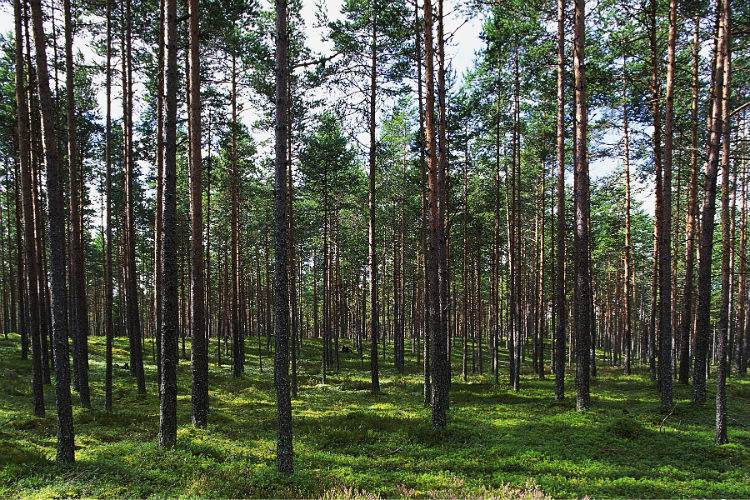 به ارزان ترین مقصد های گردشگری 2016 سفر کنید