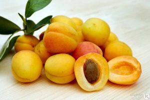 هسته کدام میوه ها سمی است و نباید بخوریم؟ هسته کدام میوه ها سمی است و نباید بخوریم؟