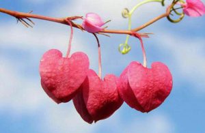 پیامک های غمگین و بسیار زیبا
