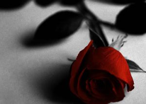 داستان زیبای غم انگیز عاشق شدن و خیانت ندا