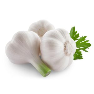 خواص سیر برای مادران شیرده خواص سیر برای مادران شیرده