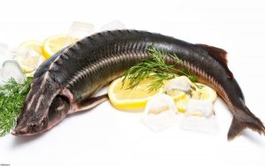 مضرات ماهی خوردن و فواید ماهی خوردن + از تنظیم فشار خون تا پیشگیری از چین و چروک با ماهی