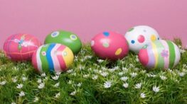 تزیین تخم مرغ سفره هفت سین