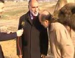 کلیپی جالب از علاقه بیش از حد شتر به یک نفر