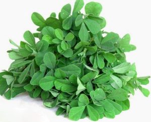 تخم شنبلیله و خواص عالی شگفت انگیز تخم شنبلیله تخم شنبلیله و خواص عالی شگفت انگیز تخم شنبلیله