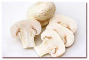 قارچ | با خواص عالی قارچ اشنا شوید قارچ | با خواص عالی قارچ اشنا شوید