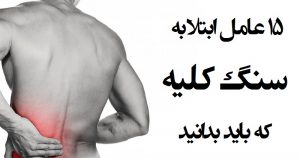 دلایل ابتلا به سنگ کلیه چیست؟ (15 دلیل که باعث سنگ کلیه می شوند) دلایل ابتلا به سنگ کلیه چیست؟ (15 دلیل که باعث سنگ کلیه می شوند)