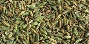 معجزه گیاه رازیانه برای سلامت خانم ها