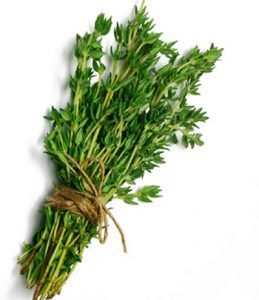 خواص عالی چای آویشن در وعده صبحانه