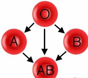 گروه خونی افراد موفق چیست؟
