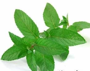 روش های جلوگیری از خواب آلودگی راننده حین رانندگی