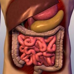دلیل کاهش وزن بدون دلیل بدن چیست؟