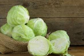 با کلم نقرس و ورم مفاصل را درمان کنید