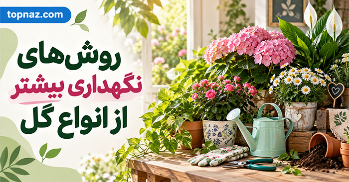 روشهای نگهداری بیشتر از انواع گل؛ نگهداری گل شاخهبریده و گلدانی؛ نکات مراقبت در خانه روشهای نگهداری بیشتر از انواع گل؛ نگهداری گل شاخهبریده و گلدانی؛ نکات مراقبت در خانه