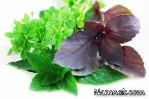 خواص عالی دمنوش ریحان