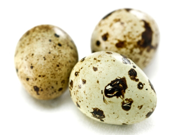 فواید عالی تخم بلدرچین برای کودکان