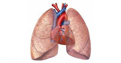 سیر مصرف کنید تا ریه های شما پاکسازی شود
