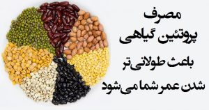 اثرات عالی پروتئین گیاهی بر طول عمر و سلامت بدن اثرات عالی پروتئین گیاهی بر طول عمر و سلامت بدن