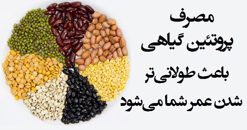 اثرات عالی پروتئین گیاهی بر طول عمر و سلامت بدن
