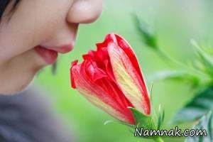 بو کردن گل های خوشبو چه فایده ای دارد؟ بو کردن گل های خوشبو چه فایده ای دارد؟