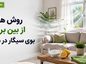 روش های از بین بردن بوی سیگار در منزل