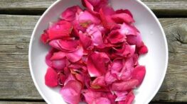 طرز تهیه مارمالاد گل محمدی و مواد لازم