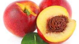 شلیل | اشنایی با خواص شلیل میوه خوشمزه