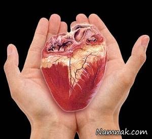 اطلاعاتی مفید در مورد پیوند عضو اطلاعاتی مفید در مورد پیوند عضو